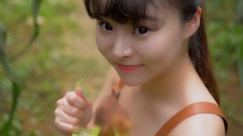[BoLoLi波萝社] 2017.08.24 BLV005 七宝-夏日祭视频 柳侑绮