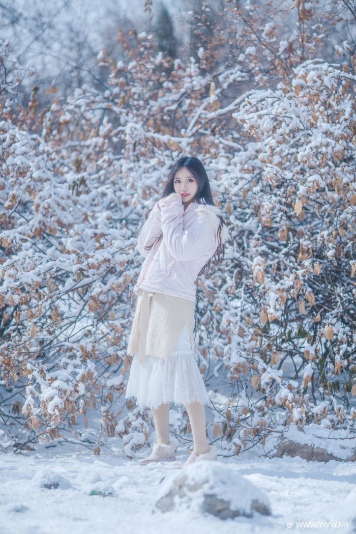 Shika小鹿鹿 雪景-像素点
