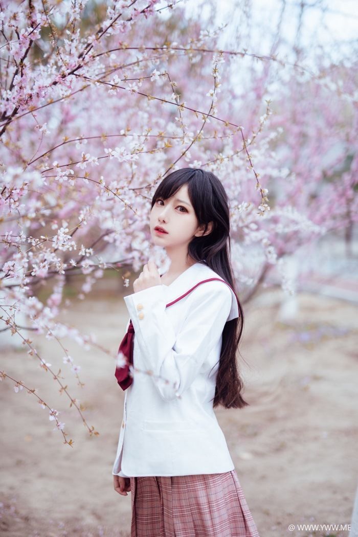 Shika小鹿鹿 樱花-像素点