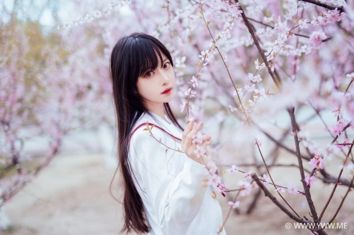 Shika小鹿鹿 樱花-像素点