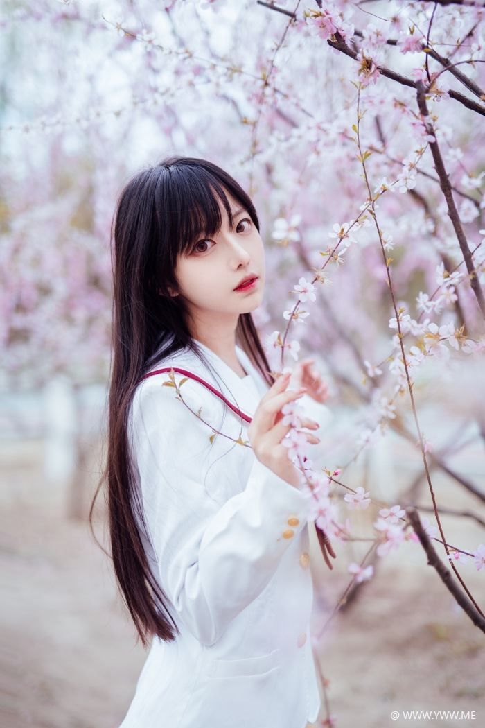Shika小鹿鹿 樱花-像素点