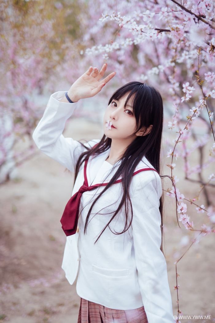 Shika小鹿鹿 樱花-像素点