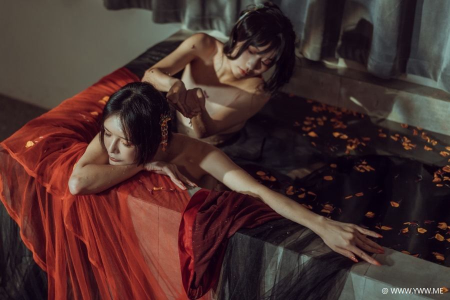 秋和柯基(夏小秋秋秋) – 昏红帐-像素点