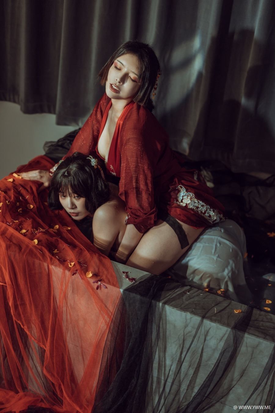 秋和柯基(夏小秋秋秋) – 昏红帐-像素点