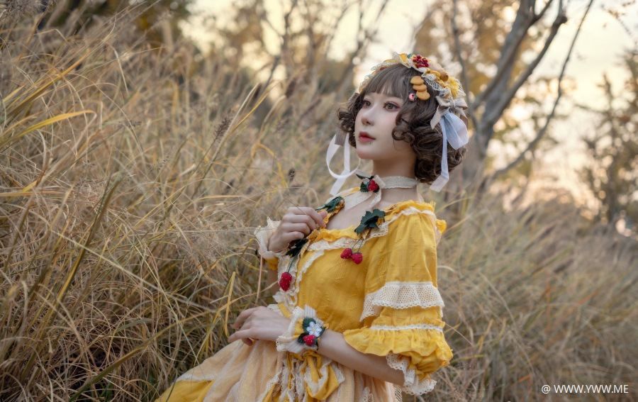 阿包也是兔娘 – lolita黄裙-像素点