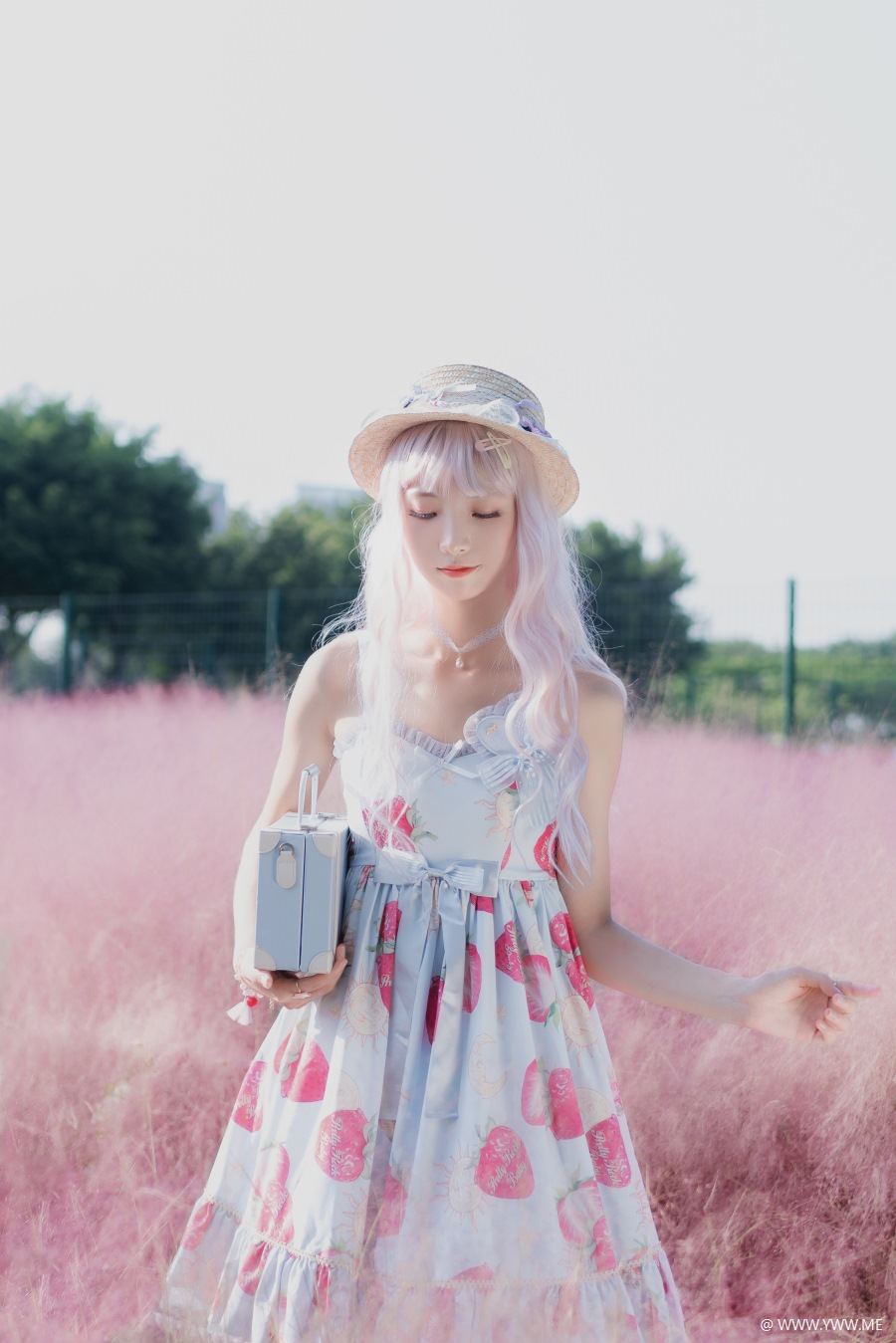 西瓜少女 – 粉草-像素点