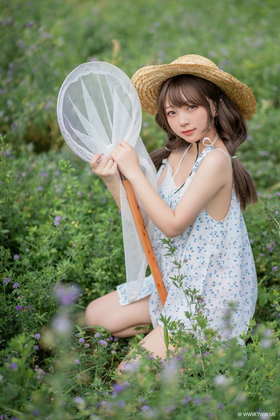 花铃 – 田野-像素点