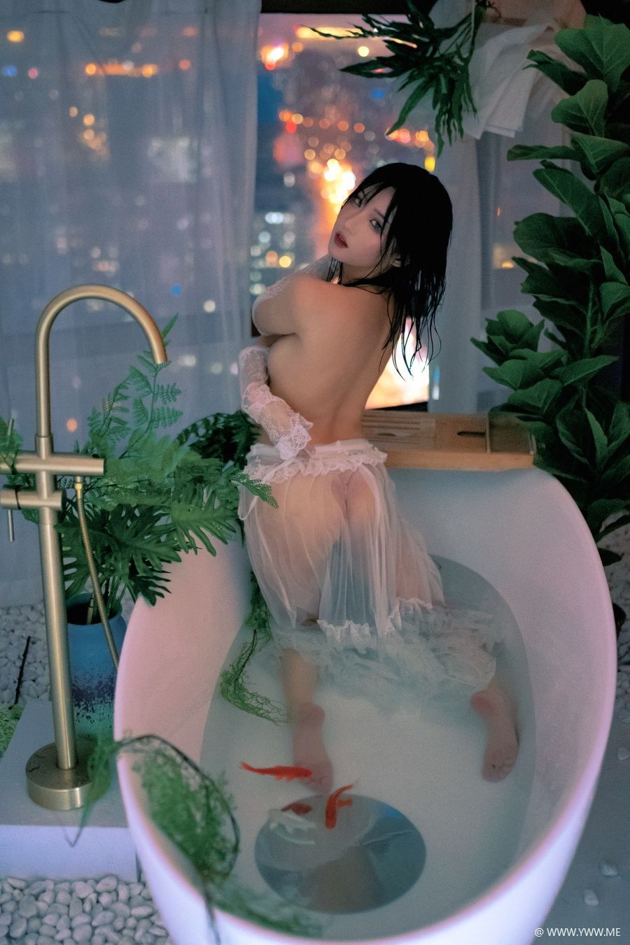 瓦斯塔亚小龙虾 – 鲸-像素点
