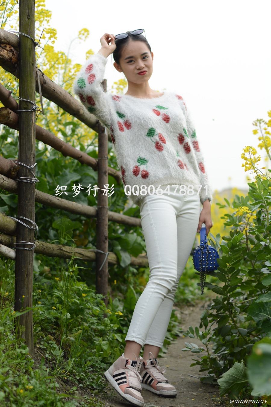 织梦行影摄影作品 NO.052 油菜花-像素点