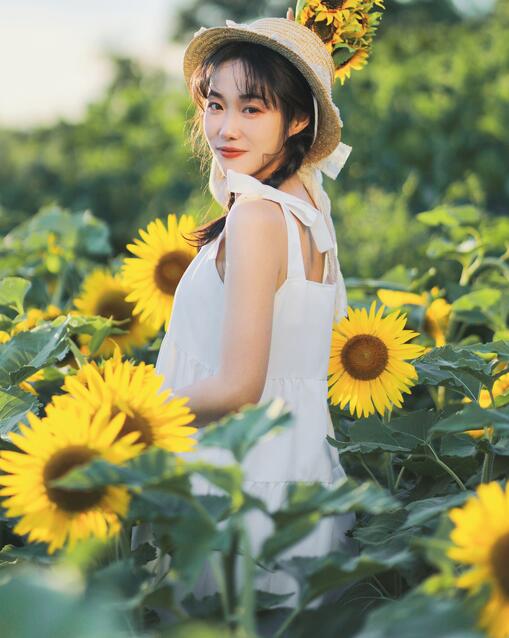 [YWW.ME] 2022.11.25 向阳之花 迟白